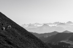 Blick ins Berner Oberland vom Pass aus.